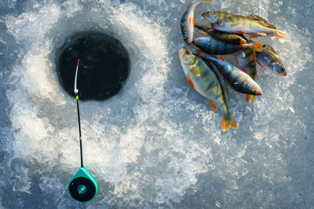 Ice Fishing Everything You Need to Know