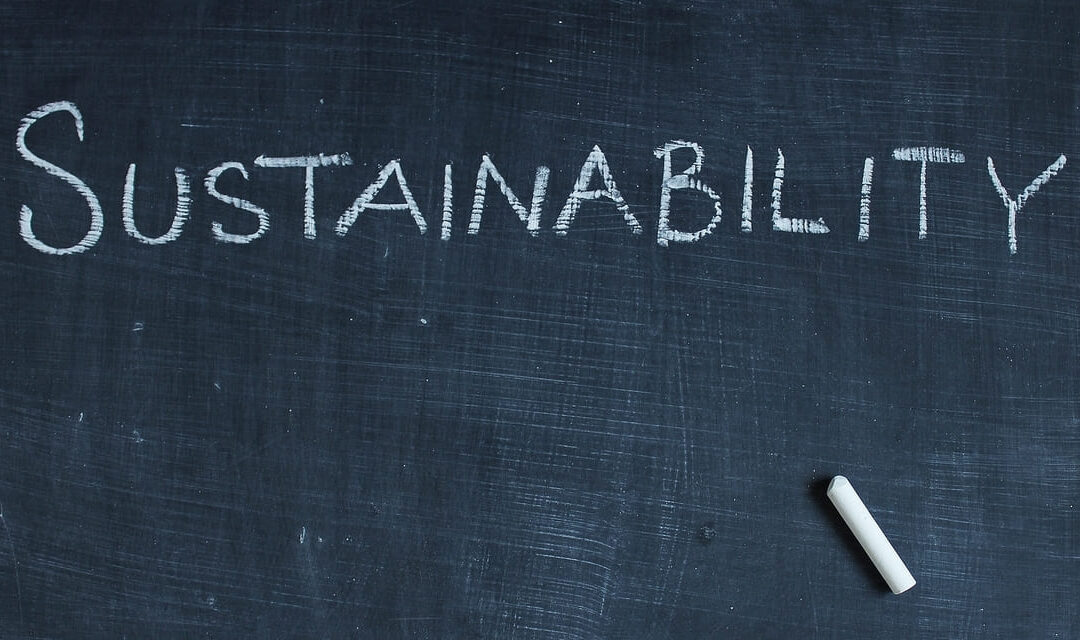 ITV apuesta por la Sostenibilidad y Medio Ambiente 