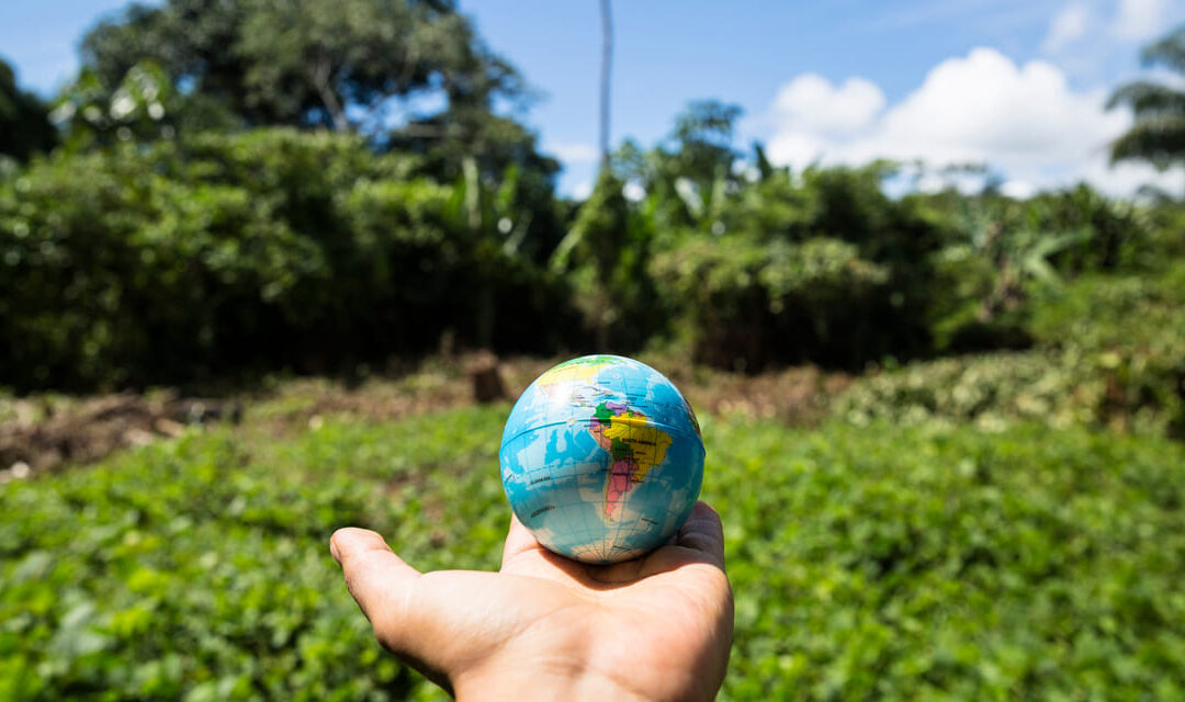 El papel del hielo en la sostenibilidad
