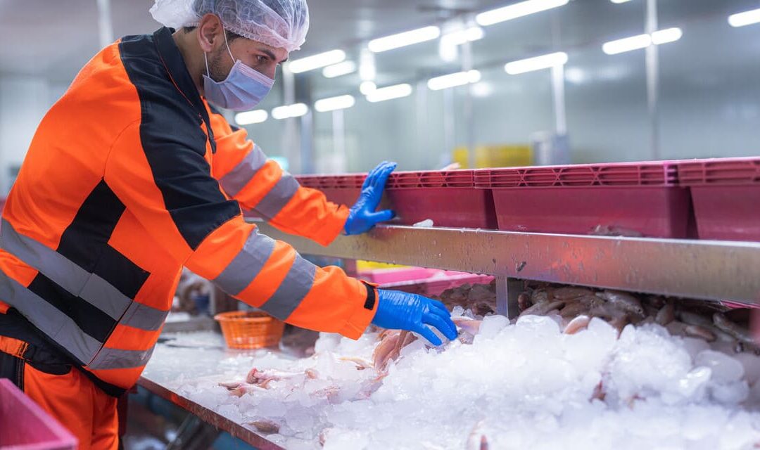 Normativa sanitaria del hielo: HACCP