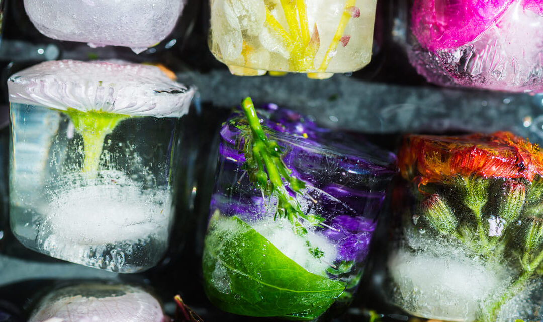 ¿Qué es el hielo infusionado?
