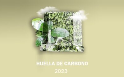 Reducción de Huella de Carbono en 2023: Un Paso Adelante en la Sostenibilidad